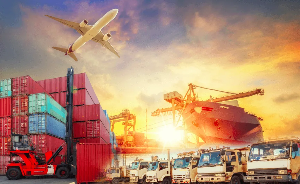 International Removals