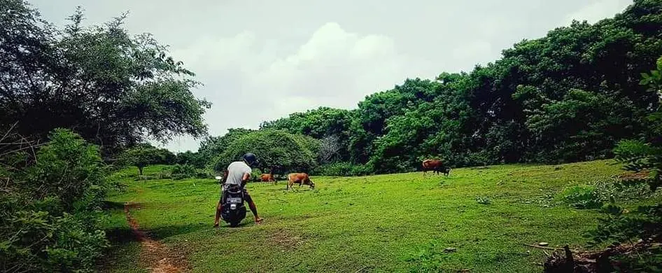 Living in Bali
