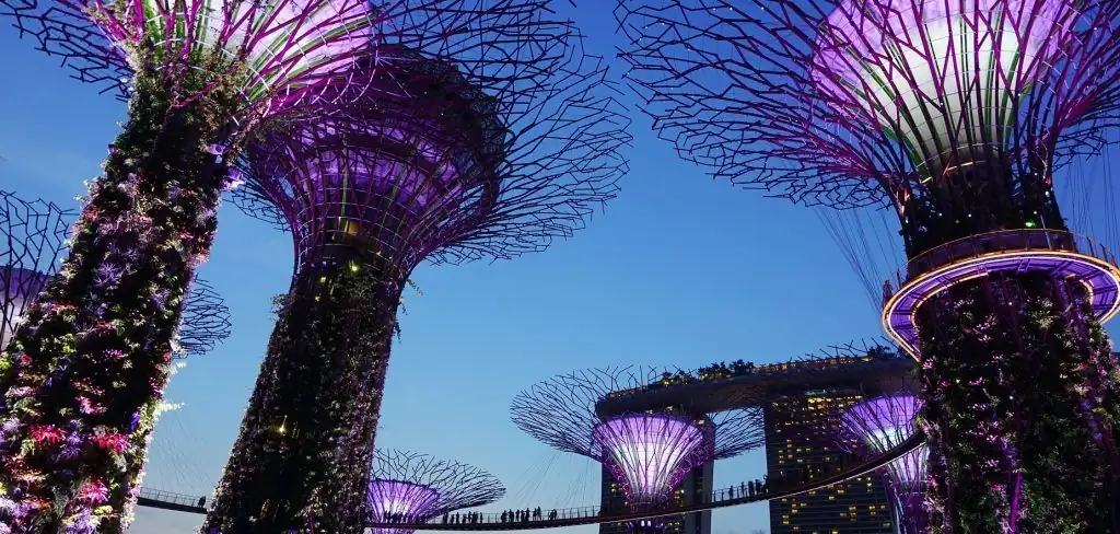 Moving to Singapore