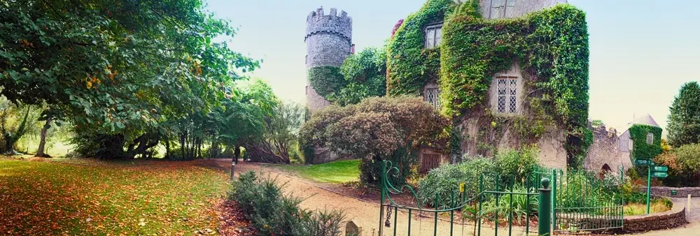 Moving to Ireland