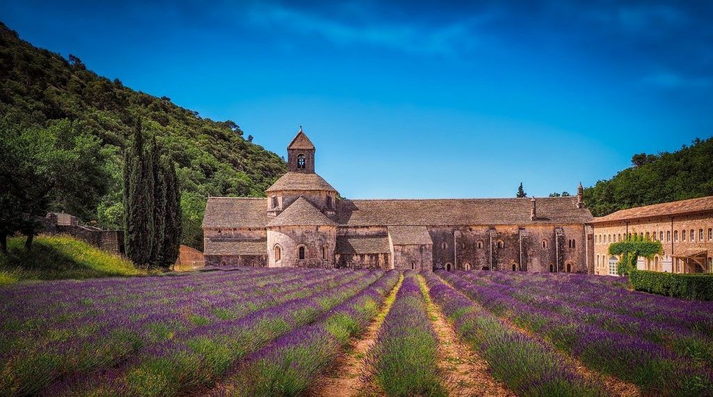lavender field beside a monastery in luberon france
