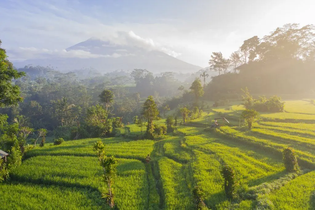 Expat Blog | Life Of An Australian Living In Bali
