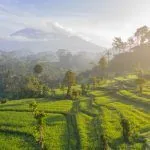 Life Of An Australian Living In Bali